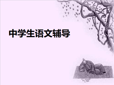 中学生语文课外辅导