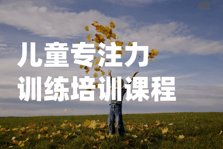 儿童专注力训练