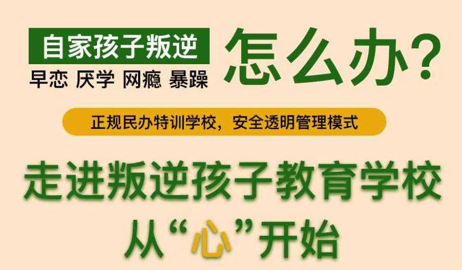 叛逆厌学 叛逆厌学