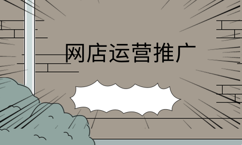 网店运营推广技能培训