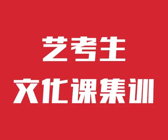 文化生艺考辅导课推荐