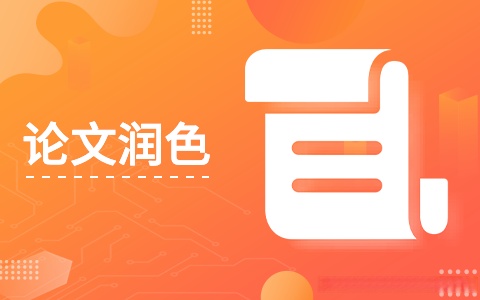 论文润色 论文润色