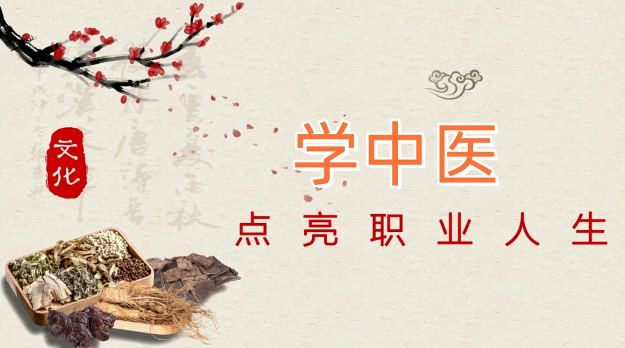 河北中医正骨推拿培训