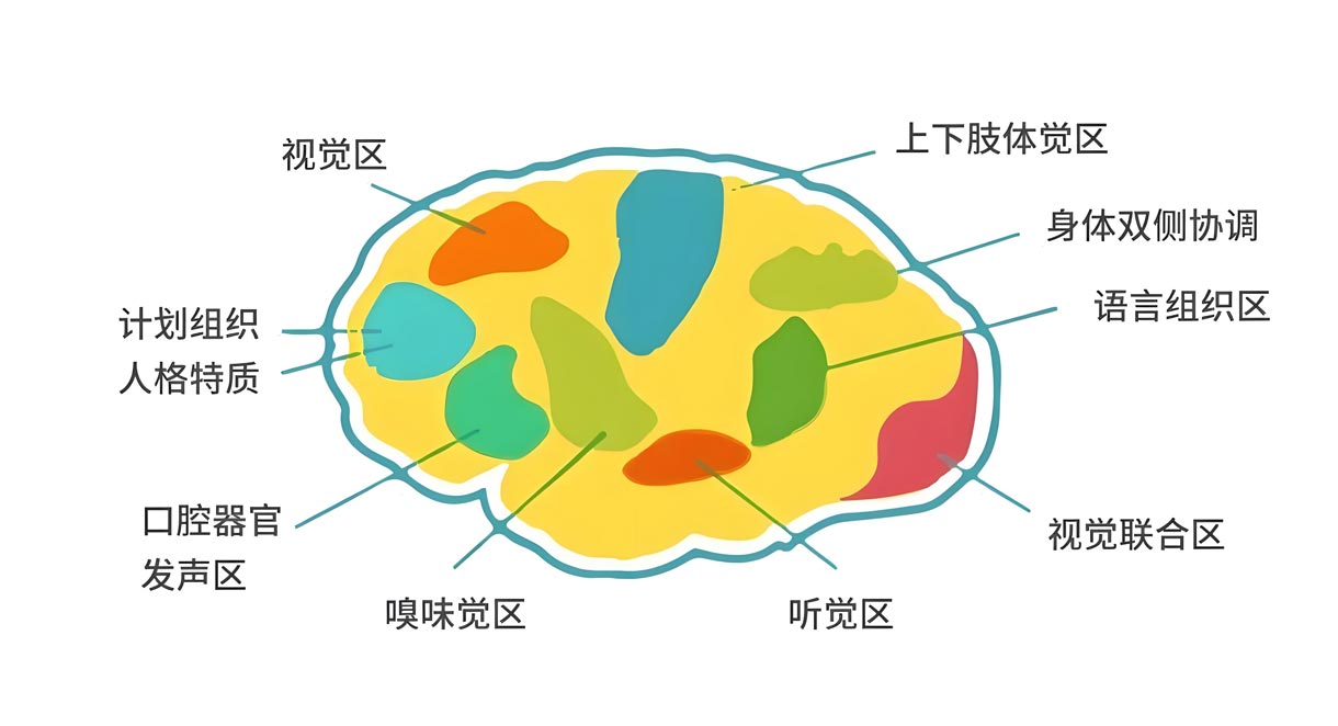 儿童感统不协调什么表现