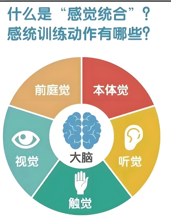 儿童感统失调训练都有哪些