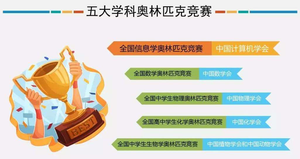 2024 少儿信奥赛编程培训机构十大排名大揭秘