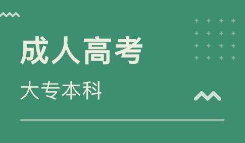 成人高考辅导
