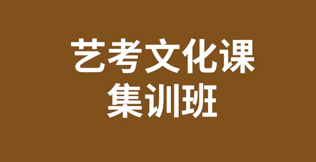 沈阳十大高三艺考生文化课集训补习学校排名