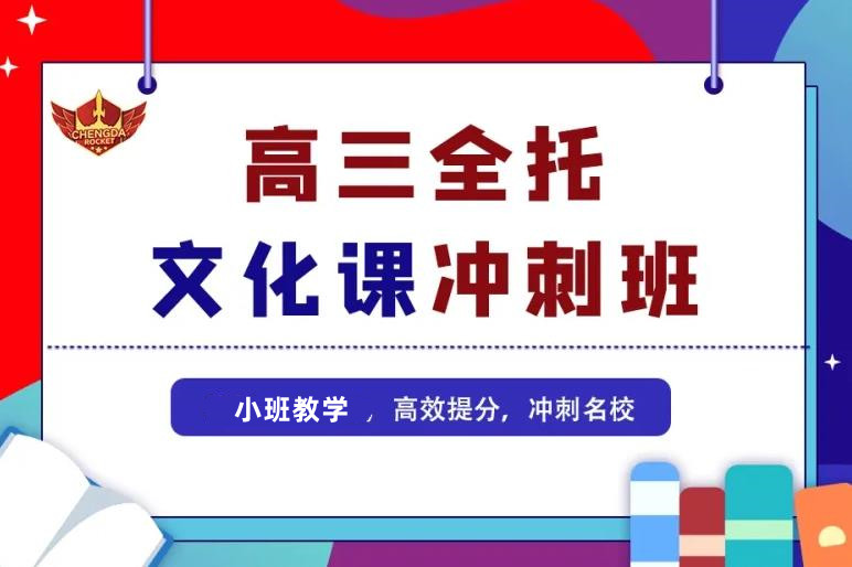 上海艺体生文化课集训2025冲刺班
