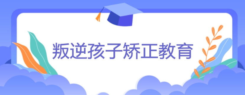 叛逆期改造学校 叛逆期改造学校