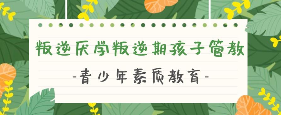 口碑一览2025正规问题少年军事化特训学校排名前十名.jpg