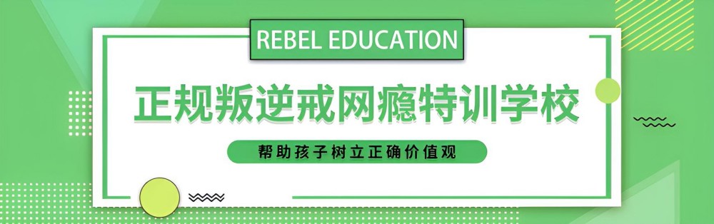 叛逆孩子网瘾戒除
