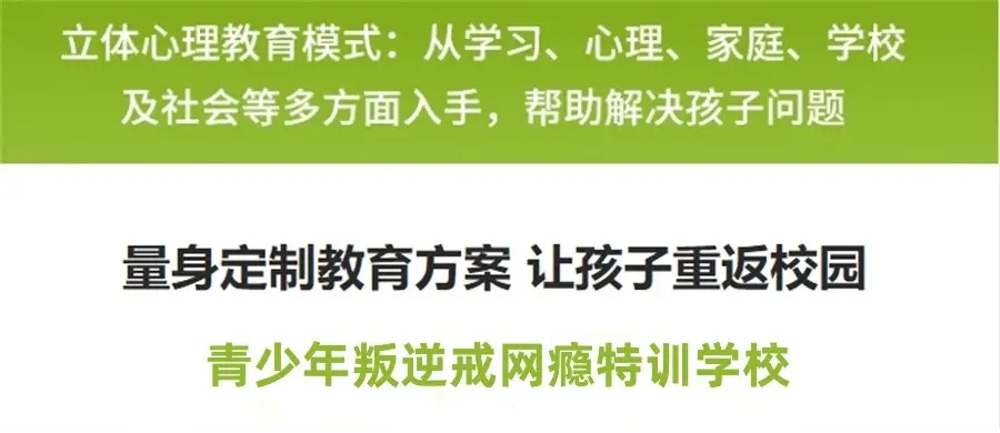 叛逆孩子网瘾戒除