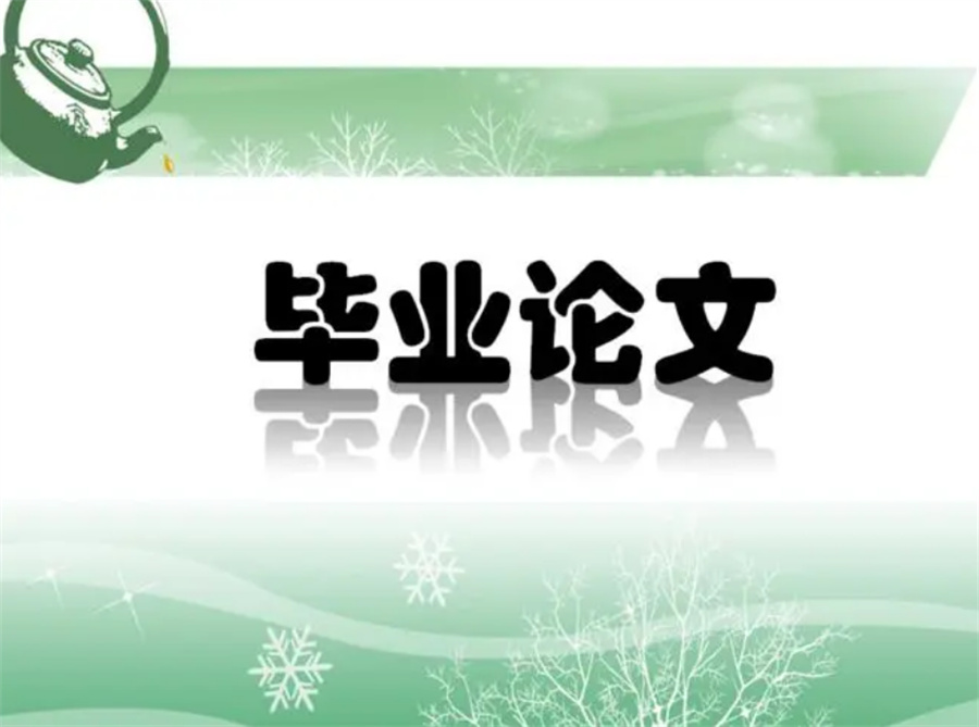 正规毕业论文辅导&指导机构