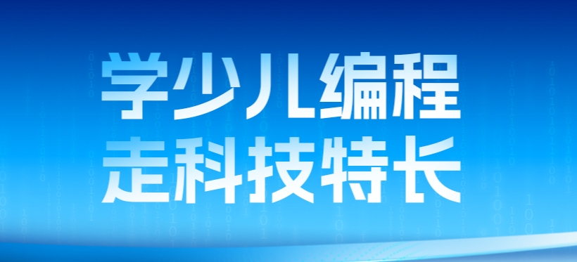 NOI青少年信息学奥林匹克竞赛培训