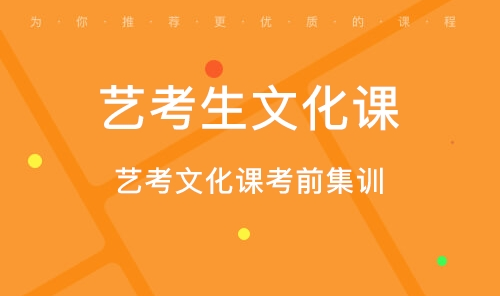 艺考生文化课冲刺辅导