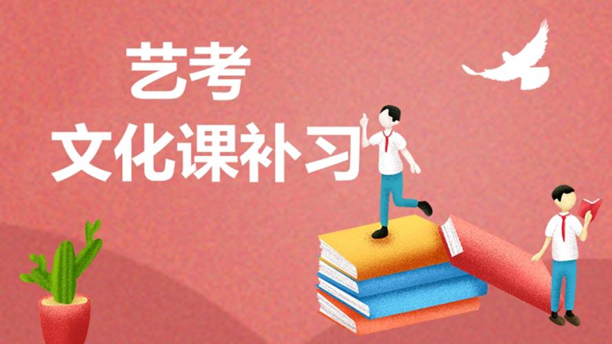 艺考生文化课冲刺辅导
