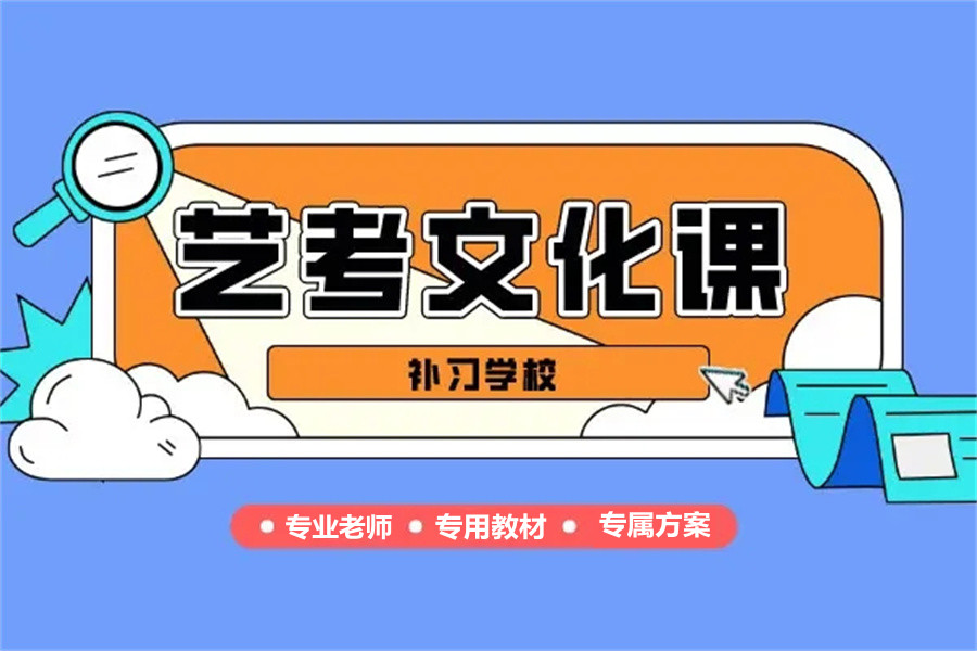 艺考生文化课辅导机构