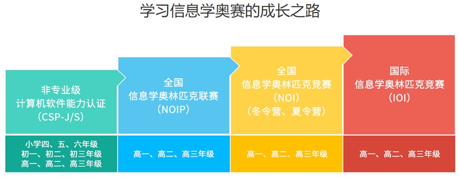 十大信息学奥赛(noip)辅导班2025实力排行一览