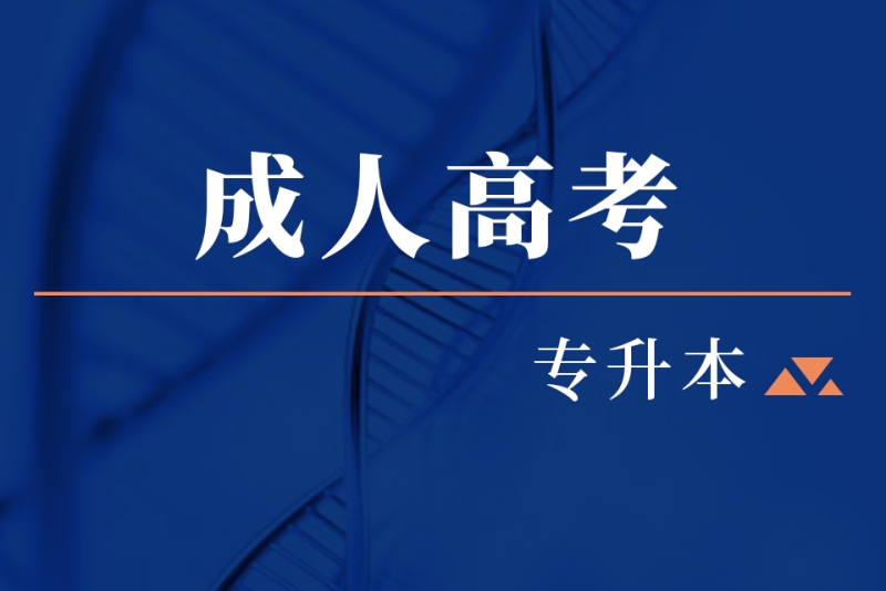 成人高考辅导机构推荐