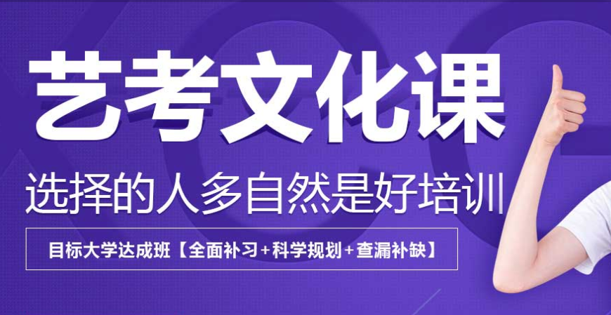 艺考文化课集训