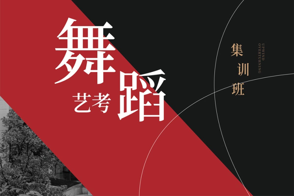 详解2024年南京十大舞蹈艺考培训机构排名榜一览