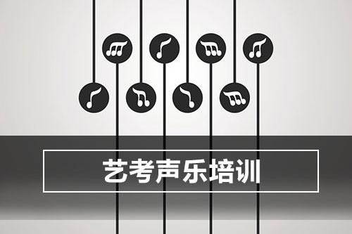 音乐表演艺考辅导机构推荐