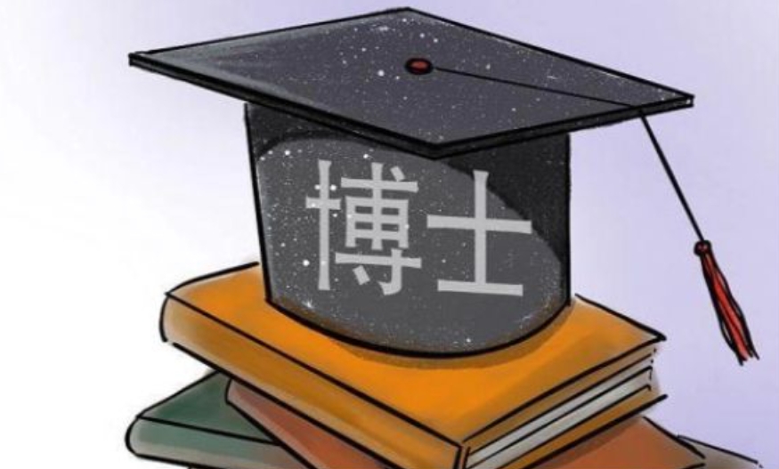 论文辅导,博士申请论文辅导