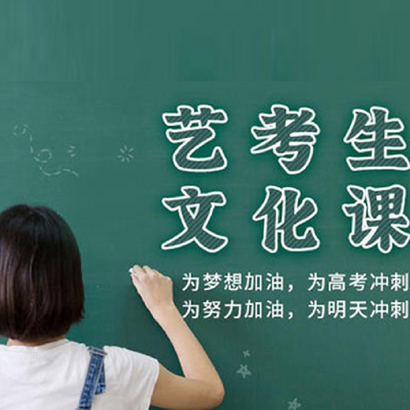 艺考生文化课辅导机构推荐