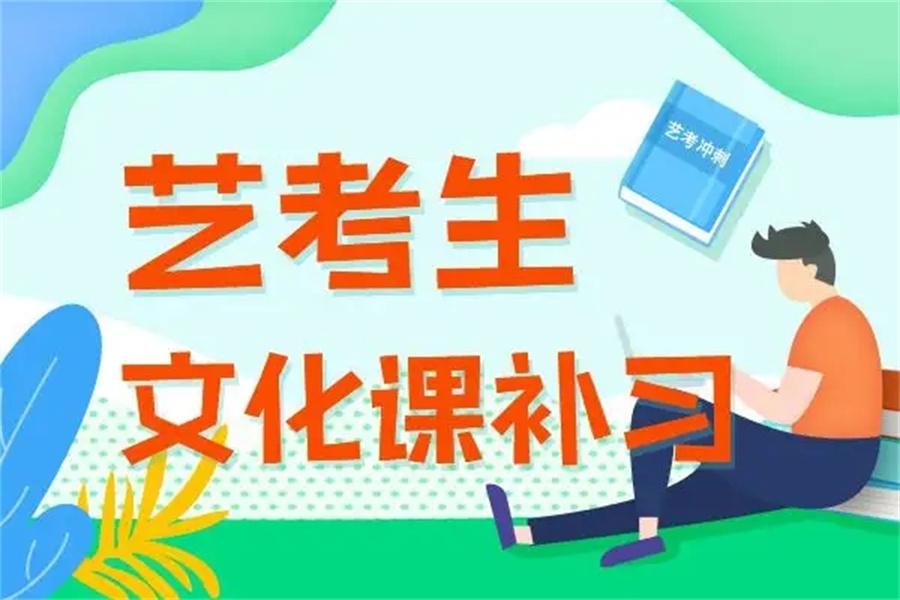艺考生文化课冲刺辅导机构