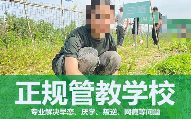 叛逆戒网瘾基地推荐