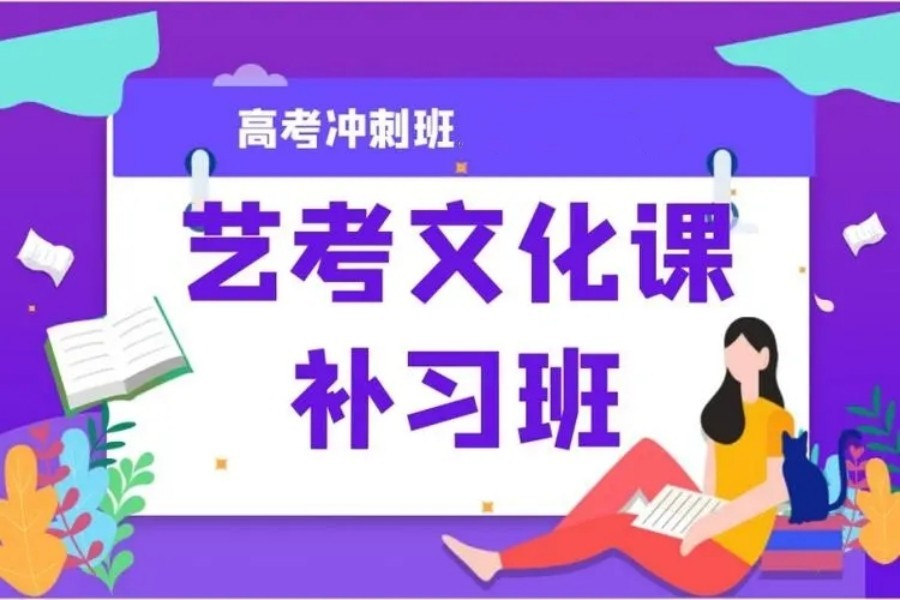 上海艺术生文化课辅导机构