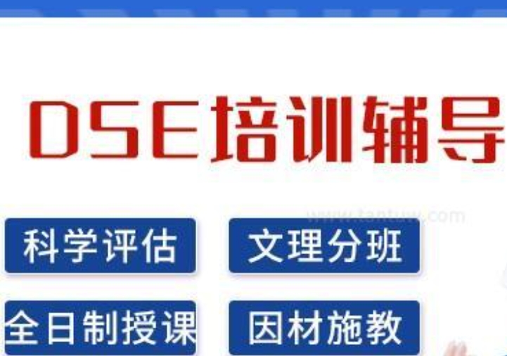 dse考试培训
