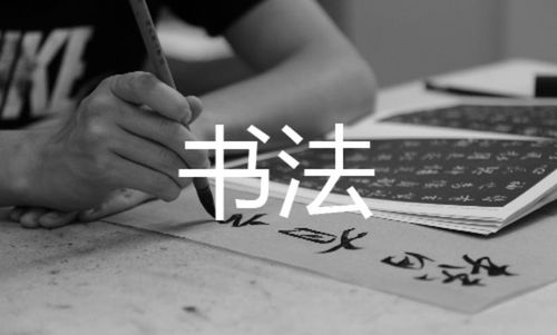 书法生艺术高考辅导推荐