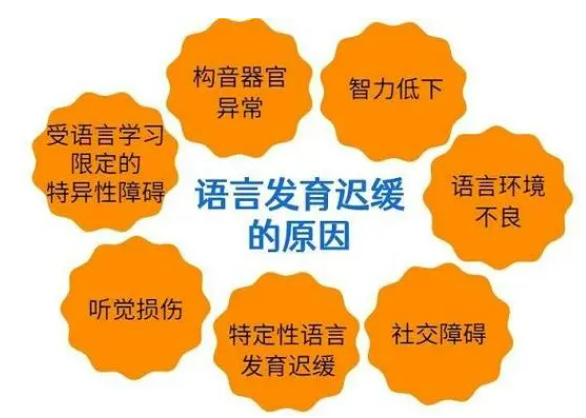 儿童语言发育迟缓康复中心