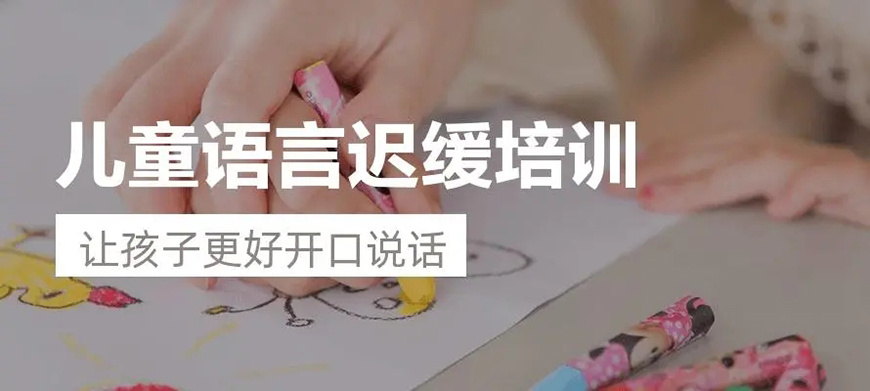 儿童语言发育迟缓康复中心