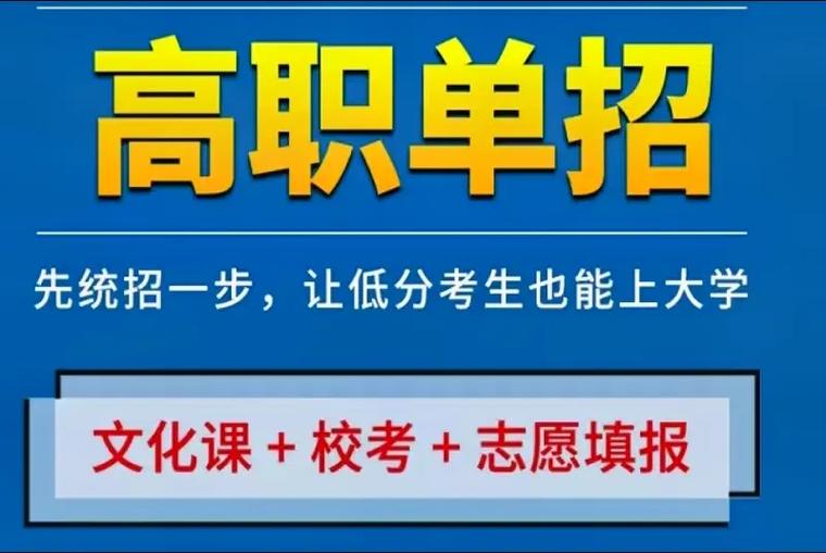 高职单招指导机构