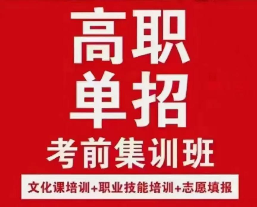 高职单招指导机构