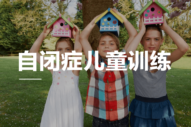自闭症儿童语言能力训练机构