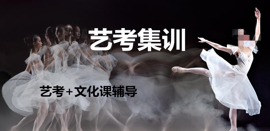 表演专业艺考辅导学校