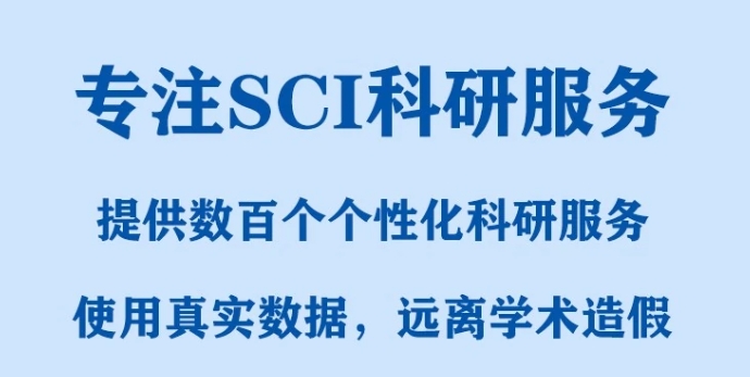 论文指导