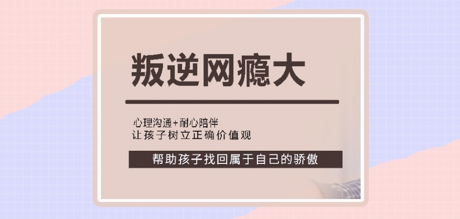 叛逆戒网学校