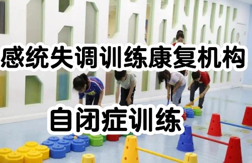 自闭症儿童幼升小融合教育机构