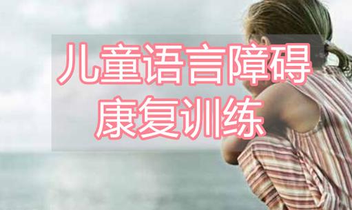 儿童语言发育迟缓矫正
