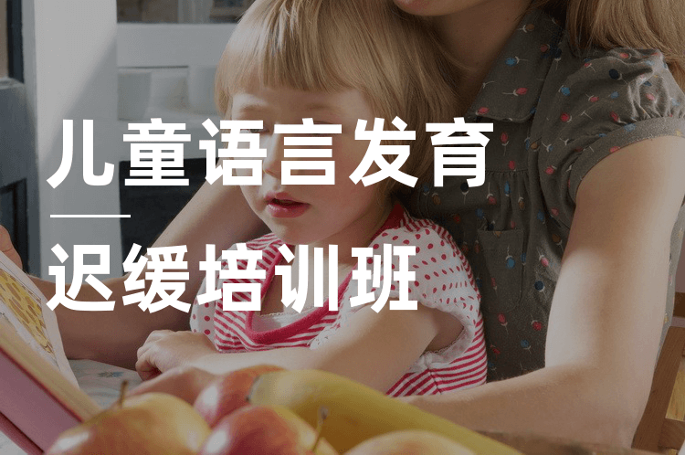 儿童语言发育迟缓矫正