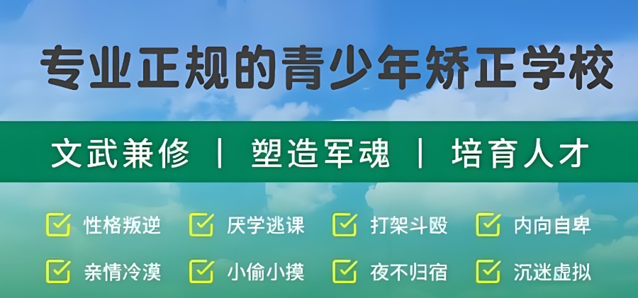 叛逆戒网瘾
