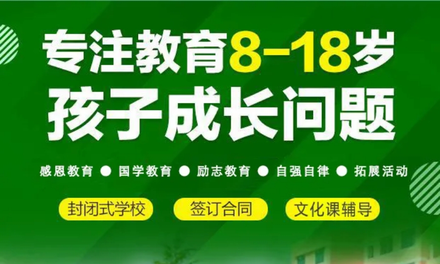 国内针对青春期孩子心理健康管教学校2025十大排名TOP榜