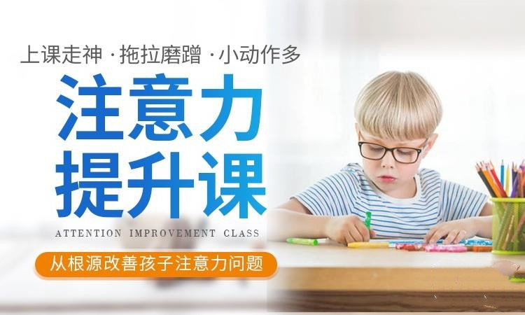 2025全新十大注意力提升培训班Top详情汇总