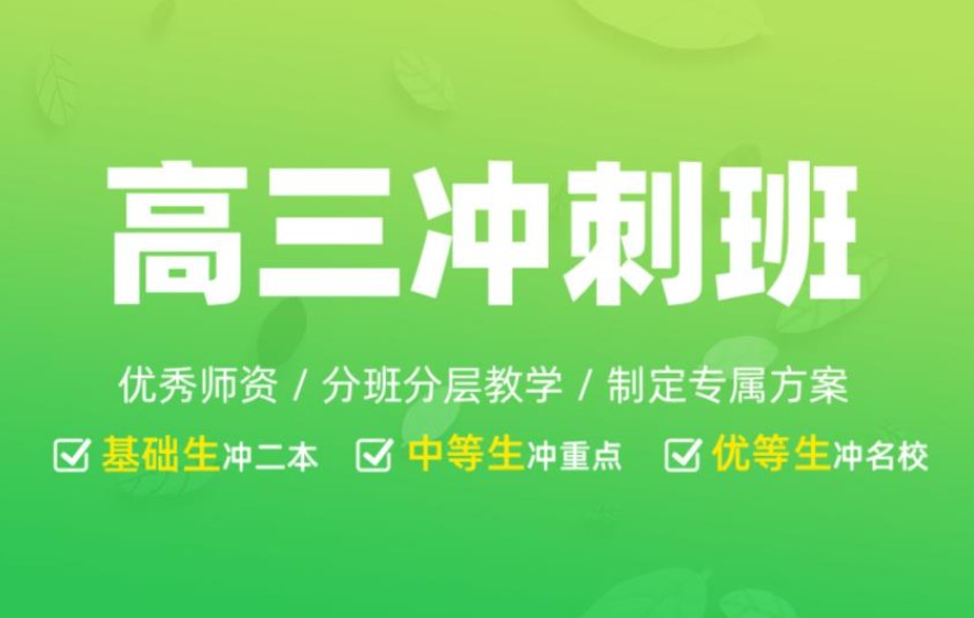 高考生冲刺辅导机构