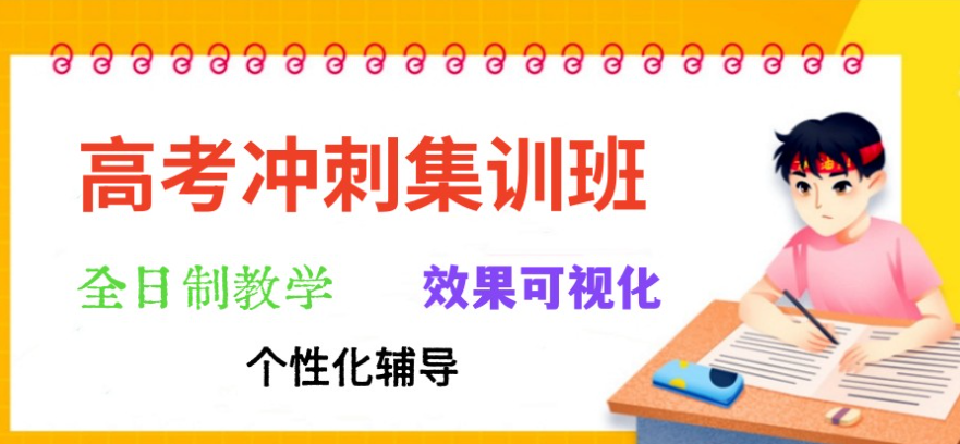 高考生冲刺辅导机构